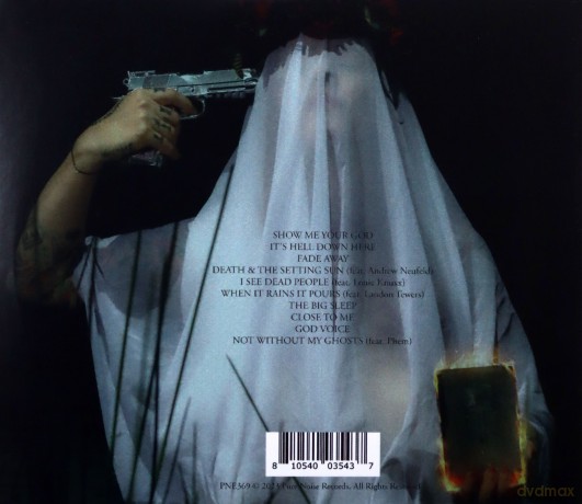 The Amity Affliction: Not Without My Ghosts [CD]