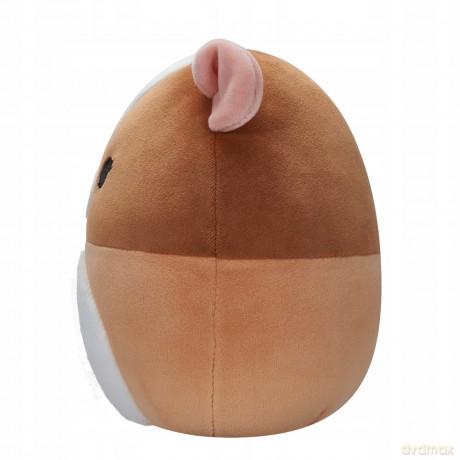 Squishmallows Świnka morska Garret, Plusz, 19 cm