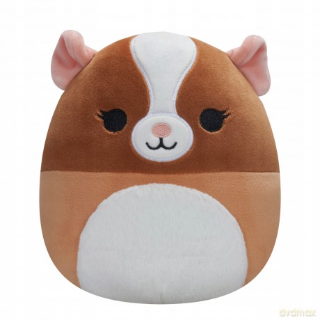 Squishmallows Świnka morska Garret, Plusz, 19 cm