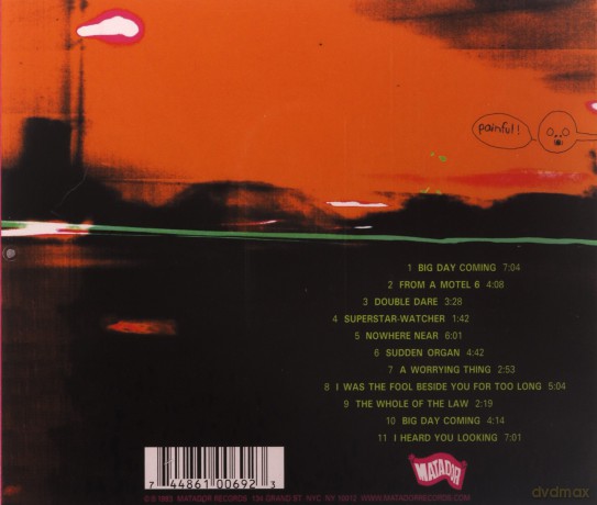 Yo La Tengo: Painful Yo La Tengo [CD]