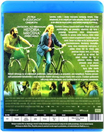Pamiętnik przelotnego romansu [Blu-Ray]