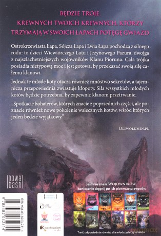 Wojownicy Potęga Trójki Widzenie - Erin Hunter [KSIĄŻKA]