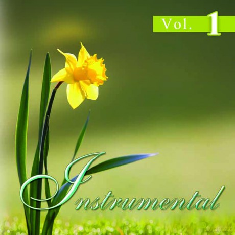 Insterumental Vol 1 [CD]