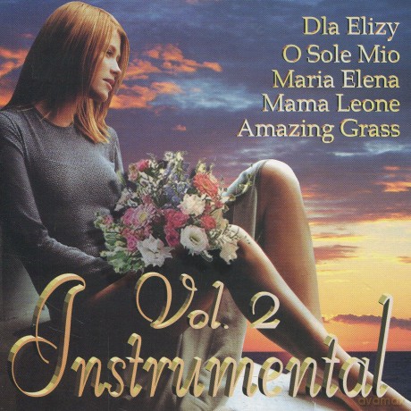 Instrumental vol.2 [CD]