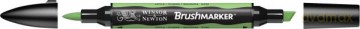 Brushmarker apple (G338)