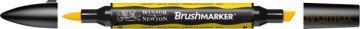 Brushmarker canary (Y367)
