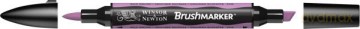 Brusmarker wild orchid (V746)