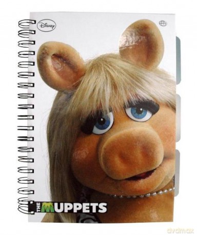 Kołobrulion B5 100k kratka kol.marg. Muppets.