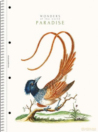 Kołozeszyt A4 80k kratka kremowy papier Paradise 104020001