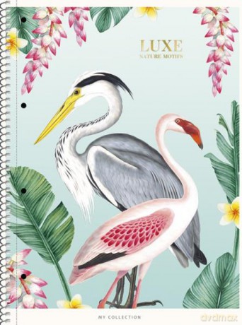 Kołozeszyt A4+ kratka 80k papier kremowy Nature motifs 104020002