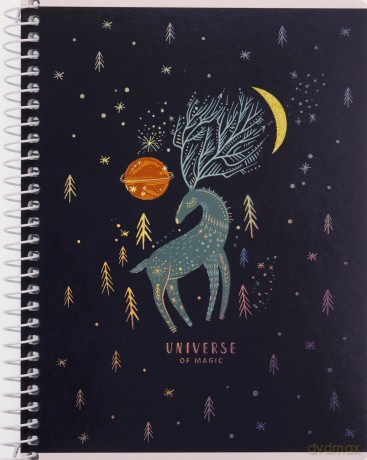 Kołozeszyt B6 80k kratka Universe of magic