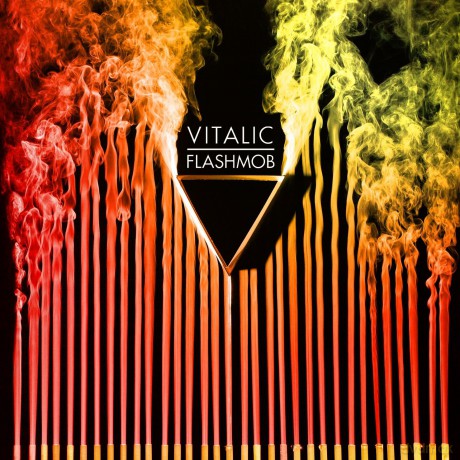 Vitalic: Flashmob Lp [2xWinyl]