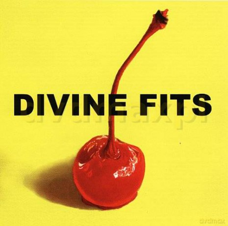 Divine Fits: A Thing Called Divine Fits [CD]
