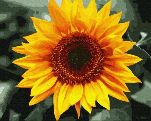 Malowanie po numerach. Kwiaty GX36146 40x50 cm