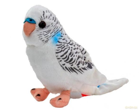 Maskotka Papuga falista biała 13 cm 13846
