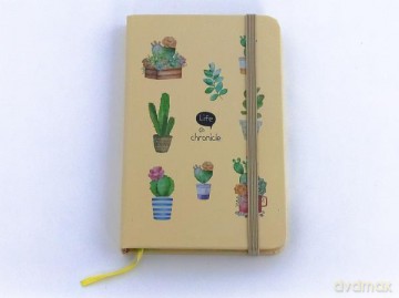 Notes kaktusy 3/486362