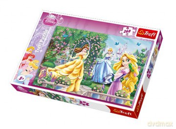 TREFL 260 el. - Spacer przed balem [PUZZLE]