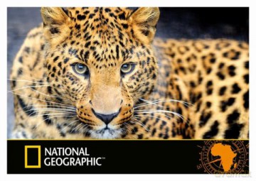 Podkład szkolny na biurko obustr. National Geographic