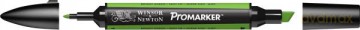 Promarker Bright Green (G267)