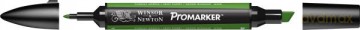 Promarker Forest Green (G356)
