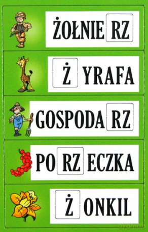 Puzzle ortograficzne rz i ż - MAXI [GRA]