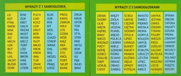 Samogłoski i spółgłoski - MAXI [GRA]
