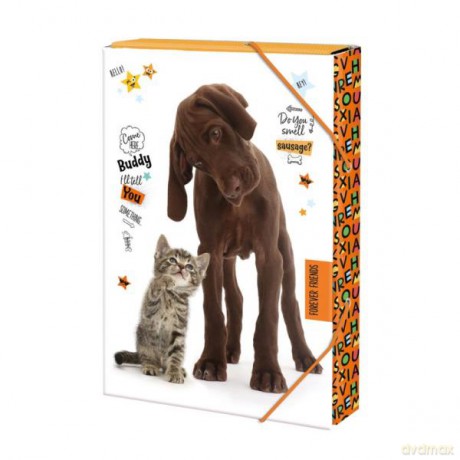 Teczka A4 4 cm Forever friends