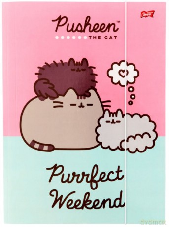 Teczka z gumką A4 PUSHEEN