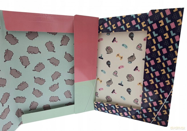 Teczka z gumką A4 PUSHEEN