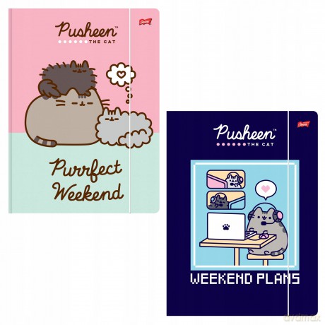 Teczka z gumką A4 PUSHEEN