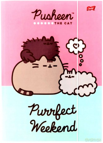 Teczka z gumką A4 PUSHEEN