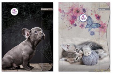 Teczka z gumką A4 The Sweet Pets