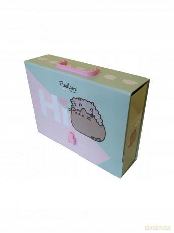 Teczka z rączką A4 XL PUSHEEN