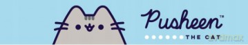 Teczka z rączką A4 XL PUSHEEN