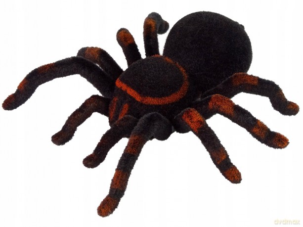 Zdalnie Sterowany Pająk Tarantula Czarny R/C 13102 [FIGURKA]