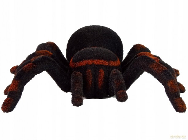 Zdalnie Sterowany Pająk Tarantula Czarny R/C 13102 [FIGURKA]