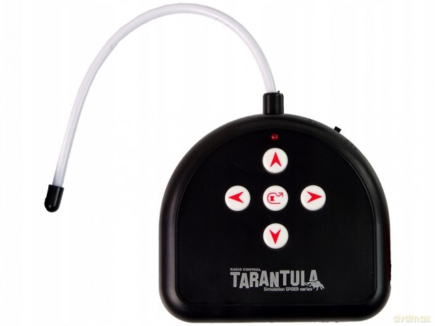 Zdalnie Sterowany Pająk Tarantula Czarny R/C 13102 [FIGURKA]