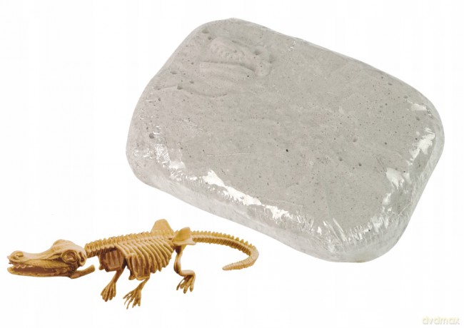 Zestaw Archeologiczny Wykopaliska Dinozaur Czaszkogłowy 12999