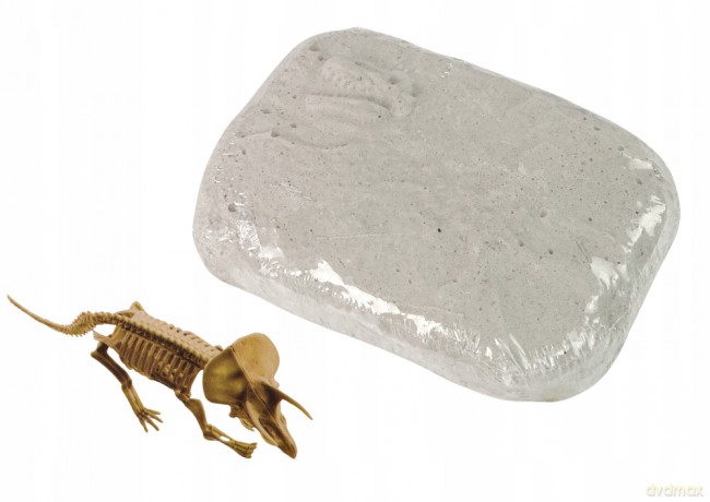 Zestaw Archeologiczny Wykopaliska Dinozaur Triceratops Szkielet 13000