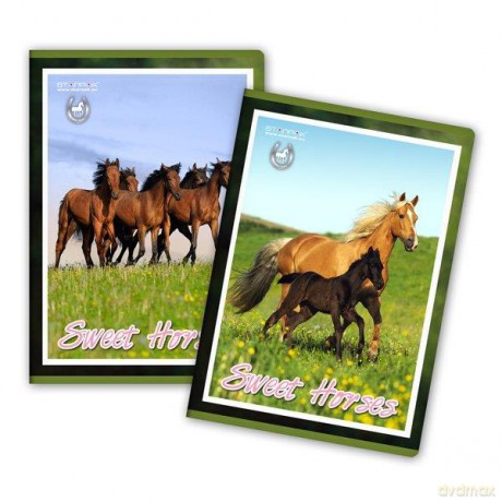 Zeszyt 32k linia Horses.