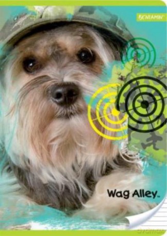 Zeszyt 32k linia Wag Alley
