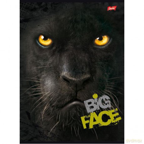 Zeszyt A4 60k linia lam.The Montain Big Face