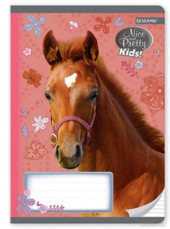 Zeszyt A5 16k kolorowe trzy linie Nice&Pretty Kids