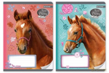 Zeszyt A5 16k kratka Nice&Pretty - Kids