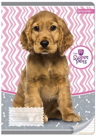 Zeszyt A5 16k. kolorowe 3 linie The Sweet Pets