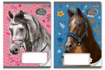 Zeszyt A5 32k kratka Nice&Pretty Kids