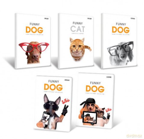 Zeszyt A5 32k li lam FUNNY ANIMALS