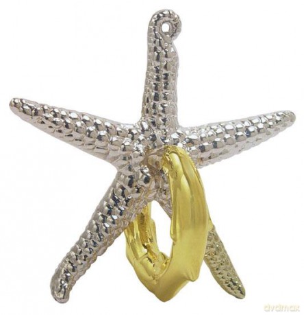 Łamigłówka Cast Starfish - poziom 2/6 [GRA]