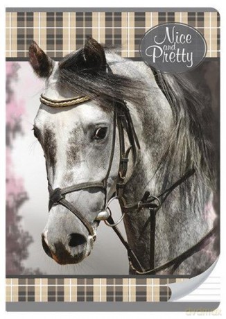 Zeszyt A5/60k linia Nice And Pretty