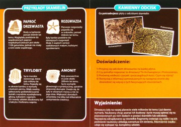 Profesor Albert - Skamieniałości [GRA]